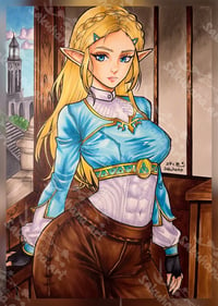 Image 1 of Zelda 