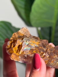 Image 3 of NATURAL RAINBOW IRIDESCENT CUBIC FLUORITE -CHINA- F