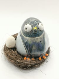 Image 1 of Pigeon 2