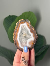 Image 2 of DOUBLE SIDED LAGUNA AGATE SLICE A