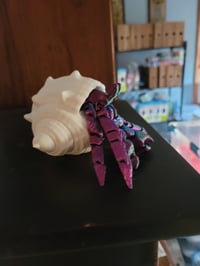 Image 1 of Hermit Crab