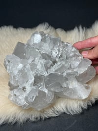 Image 2 of Grey Phantom Quartz Points Cluster #2244