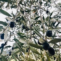 Image 5 of Olive tree leaves necklace 