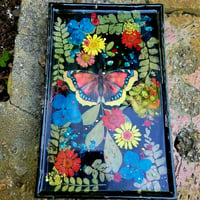 Image 4 of Scarlet Mourning-Cloak Wall-Hanging 