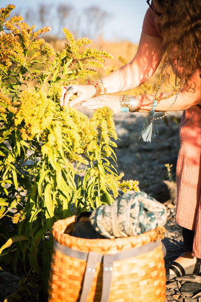 Image of Sacred Health