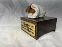 Image 3 of Custom Engraved Guinea Pig Urn Custom HandPainted To Your Photos