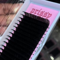 Image 1 of SUPER MATTE LASH TRAY (D CURL)
