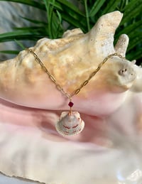 Image 1 of Scallop Shell Necklace N198