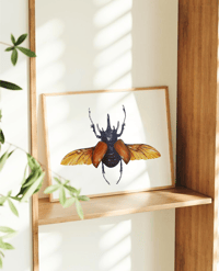 Image 9 of Five Horned Rhino Beetle Watercolor Illustration PRINT 