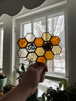 Honeycomb with Milkweed and Calendula flowers