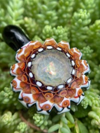 Image 4 of Sol Princess