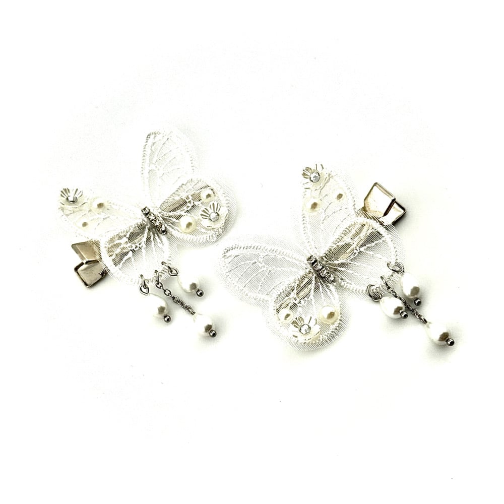 Image of Spectral Clips