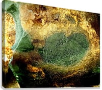 Image 3 of Stone Face