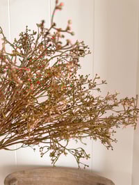 Image 4 of Wild Autumn Bunches ( Large or Small )