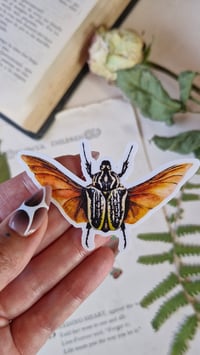 Image 5 of Insect Stickers Set of 5