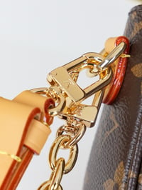 Image 5 of LV Ivy Crossbody