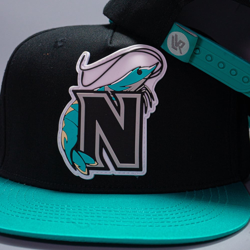 Camaroneros de Nayarit 