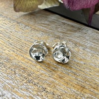 Image 1 of Water cast Earrings - Flora 