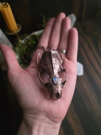 Image 5 of Mink Skull with Moonstone