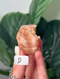 Image 5 of RUTILE X GARDEN QUARTZ FREEFORM GUSHERS -BRAZIL-