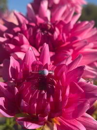 Turquoise Stacker
