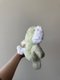 Image 4 of Acorn Puppy