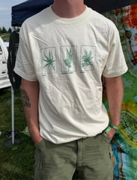 Image 1 of BMFS Summer Tour Shirt