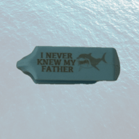 Image 2 of I NEVER KNEW MY FATHER TAGS