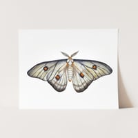 Image 2 of Ghostly Moth PRINT