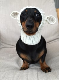 Image 2 of Character Snoods
