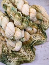 Image 4 of Tuck Everlasting