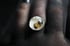 Dead Good naturally deceased wasp ring Image 5