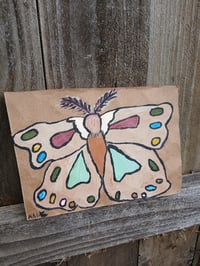 Image 10 of Moth 