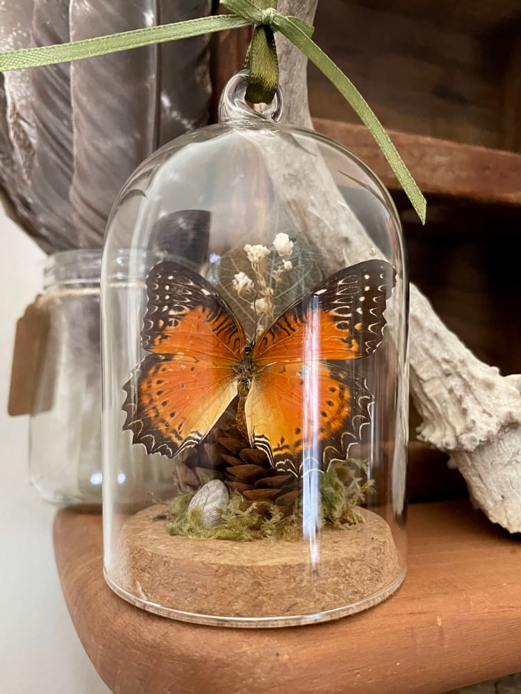 Image of Butterfly Ornament II