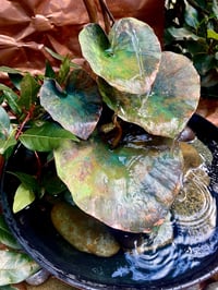 Image 4 of 🧡💚🩵5 Hearts💚🧡