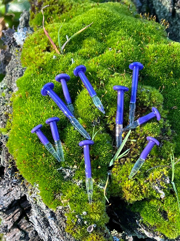 Image of 10 Purple Mushroom Plant Spikes