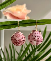 Image 2 of Pink/Purple Scallop Earrings E130