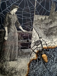 Image 4 of Statement "Crescent Moon"  1897 Taxiderny orbweaver Spider & Preserved Web