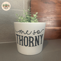 Me So Thorny Pot - White 14cm