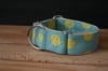 Lemon Chicken // Martingale Collar