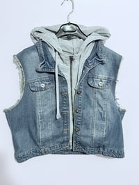 Image 1 of Ozzy Memorial Vest 