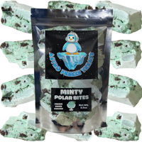 Image 1 of Mint Chocolate Ice Cream