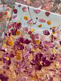 Image 2 of Harvest Meadow 