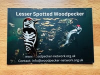 Image 1 of Lesser Spotted Woodpecker Enamel Pin Badge - The Woodpecker Network