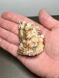Image 13 of Vanadinite On White Barite Specimen #2848