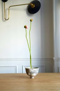 Image 1 of Enneigé