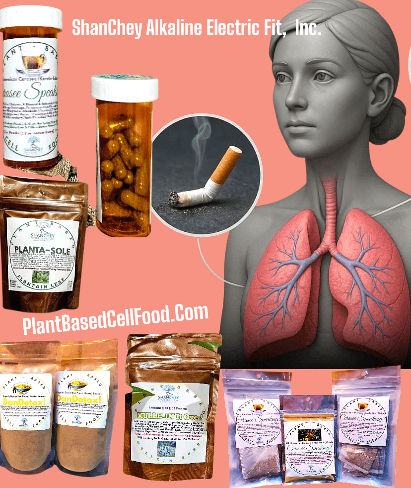 PLANTA-SOLE! Leaky Gut-Smoking-Toner-Bleeding-Skin Conditions-Respiratory-Autoimmune-Mosquitoes