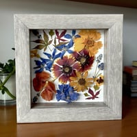 Image 2 of  Blanket Flowers, Delphiniums, Maple Leaves, & Nasturtiums in a 6" X 6" Shadow Box (Item# 202504S)