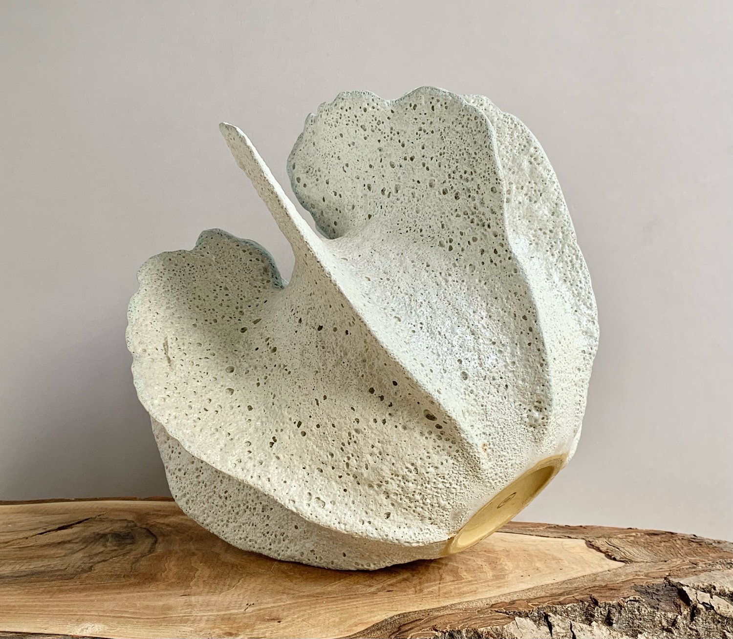 Image of Seaflower 2