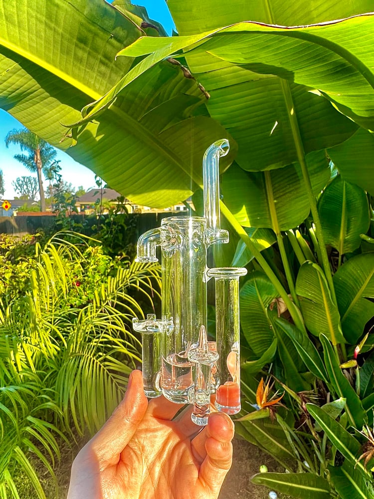 Image of NEW! Preorder-Clear Pivot kingdom